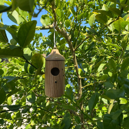 Hummingbird House with Resin Construction and Wood Grain Finish, Hanging Garden Décor