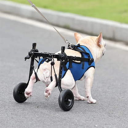 Adjustable Pet Wheelchair with Hind Leg Support and Wheels for Dogs and Cats