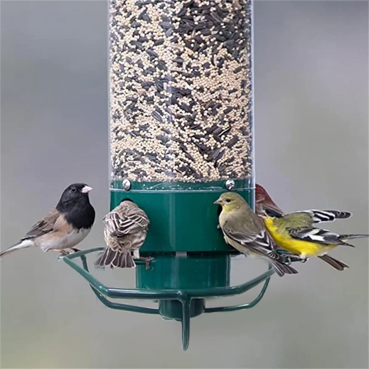 Weight-Activated Bird Feeder with Rotating Perch and Four Feeding Ports All Vera Mart
