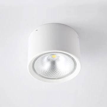 LED Ceiling Spotlight with Rotatable Head and Compact Design
