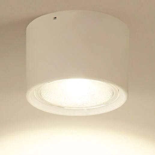 LED Ceiling Spotlight with Rotatable Head and Compact Design