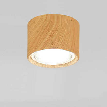 LED Ceiling Spotlight with Rotatable Head and Compact Design