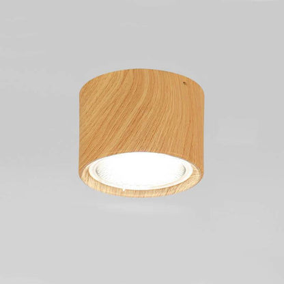 LED Ceiling Spotlight with Rotatable Head and Compact Design