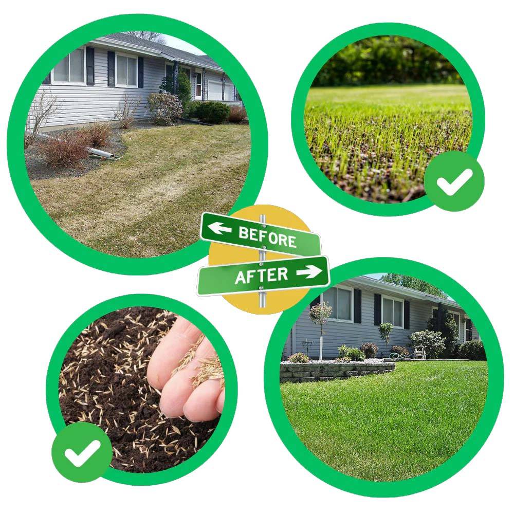 Biodegradable Grass Seed Mat with Embedded Fertilizer and Dual Layer Fabric