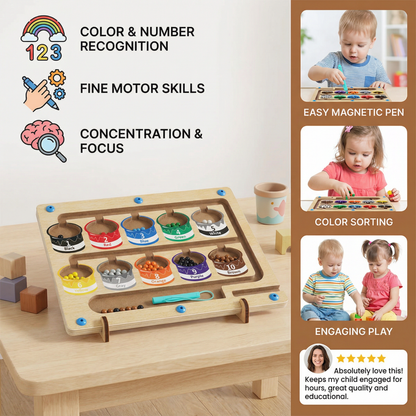 Magnetic Bead Maze Board with Color Sorting and Numbered Counting Sections
